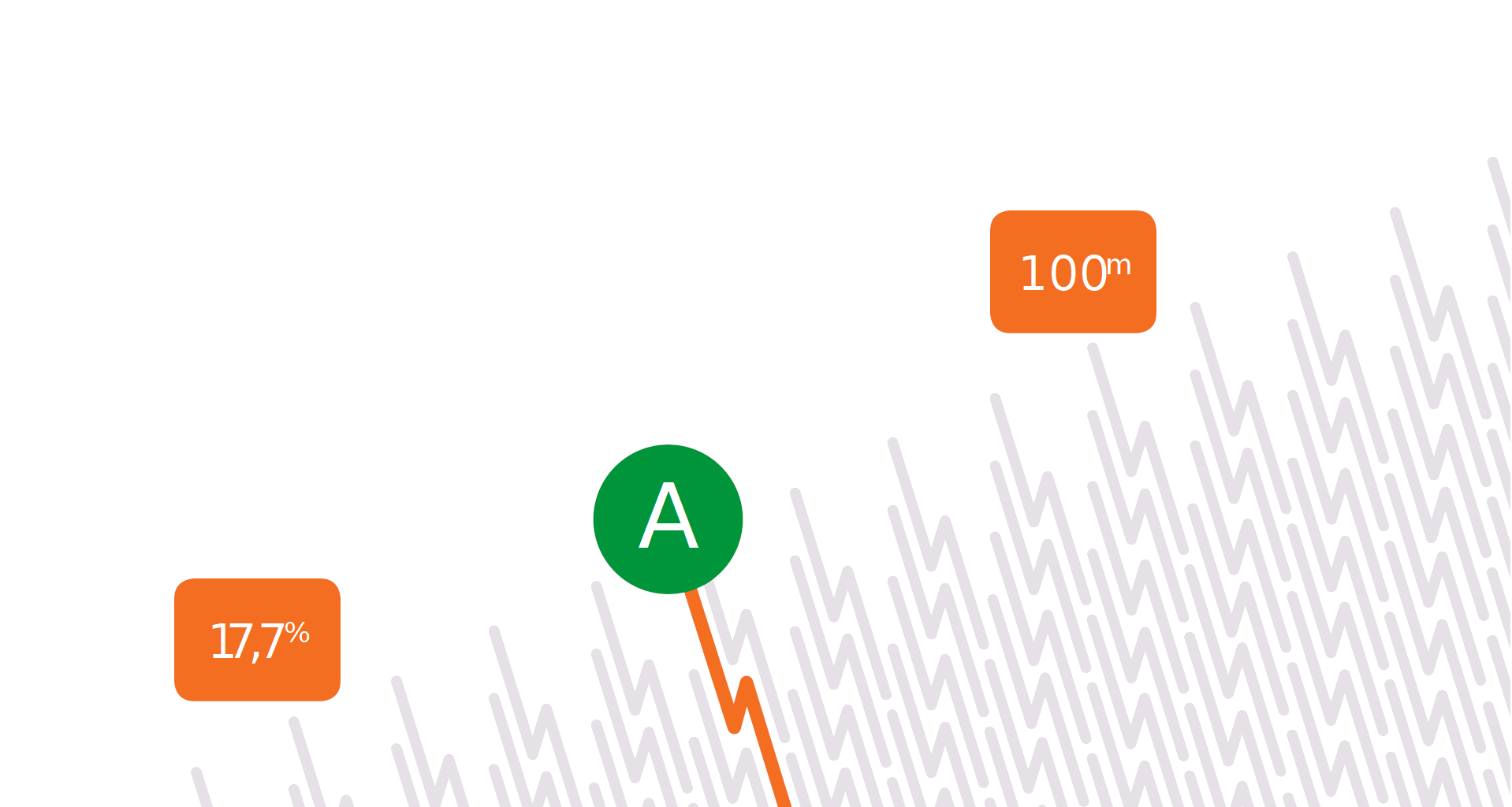 Wycieczka z przewodnikiem